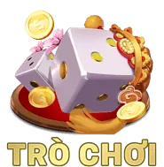Giấy phép hoạt động hợp pháp